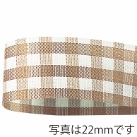 青山 リボン　ギンガムチェック　6770 13×46 #21 1巻（ご注文単位1巻）【直送品】