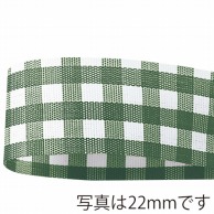 青山 リボン　ギンガムチェック　6770 13×46 #28 1巻（ご注文単位1巻）【直送品】