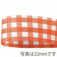 青山 リボン　ギンガムチェック　6770 13×46 #43 1巻（ご注文単位1巻）【直送品】