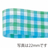 青山 リボン　キャンディーチェック　1443 13×25 #10 1巻（ご注文単位1巻）【直送品】