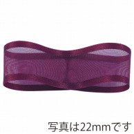 青山 リボン　シェアーサテン　0193 19×30 #17 1巻（ご注文単位1巻）【直送品】