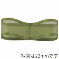 青山 リボン　シェアーサテン　0193 19×30 #28 1巻（ご注文単位1巻）【直送品】