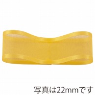 青山 リボン　シェアーサテン　0193 19×30 #64 1巻（ご注文単位1巻）【直送品】