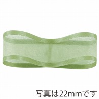 青山 リボン　シェアーサテン　0218 10×30 #41 1巻（ご注文単位1巻）【直送品】