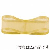 青山 リボン　シェアーサテン　0218 10×30 #45 1巻（ご注文単位1巻）【直送品】