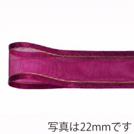 青山 リボン　シェアサテン　ゴールドエッジ　0508 10×30 #17 1巻（ご注文単位1巻）【直送品】