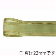 青山 リボン　シェアサテン　ゴールドエッジ　0508 10×30 #28 1巻（ご注文単位1巻）【直送品】