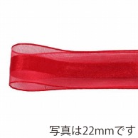 青山 リボン　シェアサテンエルフ　0511 16×30 #55 1巻（ご注文単位1巻）【直送品】