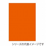 ジャパンアート ニューカラーボード 5mm厚　B3　オレンジ BP-5CB-B3-OR 1枚（ご注文単位1枚）【直送品】