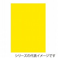 ジャパンアート ニューカラーボード 5mm厚　B2　イエロー BP-5CB-B2-YL 1枚（ご注文単位1枚）【直送品】