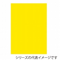 ジャパンアート ニューカラーボード 5mm厚　A2　イエロー BP-5CB-A2-YL 1枚（ご注文単位1枚）【直送品】