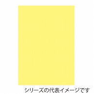 ジャパンアート ニューカラーボード 5mm厚　B1　クリーム BP-5CB-B1-CR 1枚（ご注文単位1枚）【直送品】