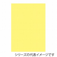 ジャパンアート ニューカラーボード 5mm厚　B2　クリーム BP-5CB-B2-CR 1枚（ご注文単位1枚）【直送品】