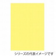 ジャパンアート ニューカラーボード 5mm厚　B3　クリーム BP-5CB-B3-CR 1枚（ご注文単位1枚）【直送品】