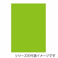 ジャパンアート ニューカラーボード 5mm厚　B1　イエローグリーン BP-5CB-B1-YG 1枚（ご注文単位1枚）【直送品】