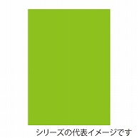 ジャパンアート ニューカラーボード 5mm厚　B2　イエローグリーン BP-5CB-B2-YG 1枚（ご注文単位1枚）【直送品】