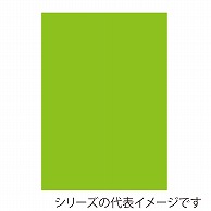 ジャパンアート ニューカラーボード 5mm厚　B3　イエローグリーン BP-5CB-B3-YG 1枚（ご注文単位1枚）【直送品】