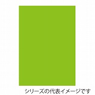 ジャパンアート ニューカラーボード 5mm厚　A1　イエローグリーン BP-5CB-A1-YG 1枚（ご注文単位1枚）【直送品】