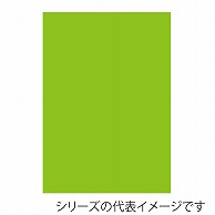 ジャパンアート ニューカラーボード 5mm厚　A2　イエローグリーン BP-5CB-A2-YG 1枚（ご注文単位1枚）【直送品】