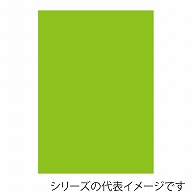 ジャパンアート ニューカラーボード 5mm厚　3×6　イエローグリーン BP-5CB-3×6-YG 1枚（ご注文単位5枚）【直送品】