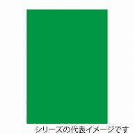 ジャパンアート ニューカラーボード 5mm厚　B1　グリーン BP-5CB-B1-GR 1枚（ご注文単位1枚）【直送品】