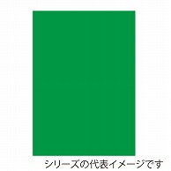 ジャパンアート ニューカラーボード 5mm厚　B2　グリーン BP-5CB-B2-GR 1枚（ご注文単位1枚）【直送品】