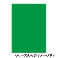 ジャパンアート ニューカラーボード 5mm厚　B3　グリーン BP-5CB-B3-GR 1枚（ご注文単位1枚）【直送品】