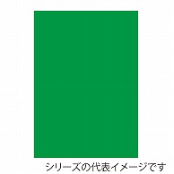 ジャパンアート ニューカラーボード 5mm厚　A1　グリーン BP-5CB-A1-GR 1枚（ご注文単位1枚）【直送品】