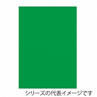 ジャパンアート ニューカラーボード 5mm厚　A2　グリーン BP-5CB-A2-GR 1枚（ご注文単位1枚）【直送品】