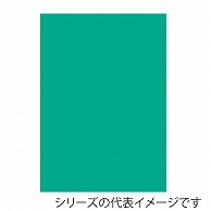 ジャパンアート ニューカラーボード 5mm厚　B1　アクアグリーン BP-5CB-B1-AG 1枚（ご注文単位1枚）【直送品】