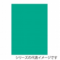 ジャパンアート ニューカラーボード 5mm厚　B2　アクアグリーン BP-5CB-B2-AG 1枚（ご注文単位1枚）【直送品】