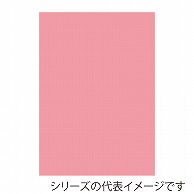 ジャパンアート ニューカラーボード 5mm厚　B3　コーラルピンク BP-5CB-B3-CP 1枚（ご注文単位1枚）【直送品】