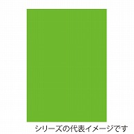 ジャパンアート ニューカラーボード 5mm厚　3×6　蛍光グリーン BP-5CB-3×6-FG 1枚（ご注文単位5枚）【直送品】