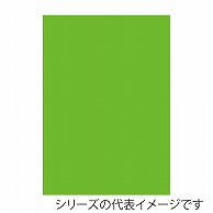 ジャパンアート ニューカラーボード 5mm厚　B1　蛍光グリーン BP-5CB-B1-FG 1枚（ご注文単位1枚）【直送品】