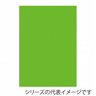 ジャパンアート ニューカラーボード 5mm厚　A1　蛍光グリーン 5CB-A1-FG 1枚（ご注文単位1枚）【直送品】