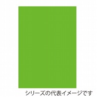 ジャパンアート ニューカラーボード 5mm厚　B2　蛍光グリーン BP-5CB-B2-FG 1枚（ご注文単位1枚）【直送品】