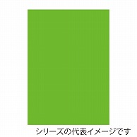 ジャパンアート ニューカラーボード 5mm厚　A2　蛍光グリーン 5CB-A2-FG 1枚（ご注文単位1枚）【直送品】