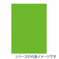 ジャパンアート ニューカラーボード 5mm厚　A3　蛍光グリーン 5CB-A3-FG 1枚（ご注文単位1枚）【直送品】