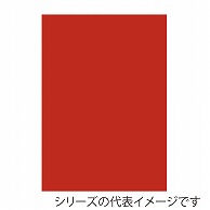 ジャパンアート ニューカラーボード 5mm厚　B2　アメリカンレッド BP-5CB-B2-AR 1枚（ご注文単位1枚）【直送品】