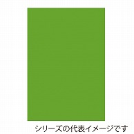 ジャパンアート ボード　カラーポップコーア 5mm厚　B1　イエローグリーン 5PC-B1-YG 1枚（ご注文単位1枚）【直送品】