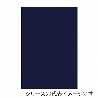 ジャパンアート ボード　カラーポップコーア 5mm厚　B1　ダークブルー 5PC-B1-DB 1枚（ご注文単位1枚）【直送品】