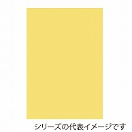 ジャパンアート ボード　カラーポップコーア 5mm厚　A1　クリーム 5PC-A1-CR 1枚（ご注文単位1枚）【直送品】