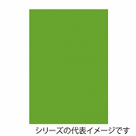 ジャパンアート ボード　カラーポップコーア 5mm厚　A1　イエローグリーン 5PC-A1-YG 1枚（ご注文単位1枚）【直送品】