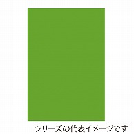 ジャパンアート ボード　カラーポップコーア 5mm厚　B2　イエローグリーン 5PC-B2-YG 1枚（ご注文単位1枚）【直送品】