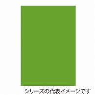 ジャパンアート ボード　カラーポップコーア 5mm厚　A2　イエローグリーン 5PC-A2-YG 1枚（ご注文単位1枚）【直送品】