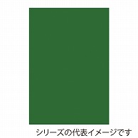 ジャパンアート ボード　カラーポップコーア 5mm厚　A2　グリーン 5PC-A2-GR 1枚（ご注文単位1枚）【直送品】