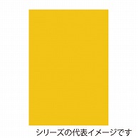 ジャパンアート ボード　カラーポップコーア 5mm厚　B3　イエロー 5PC-B3-YL 1枚（ご注文単位1枚）【直送品】