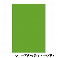 ジャパンアート ボード　カラーポップコーア 5mm厚　B3　イエローグリーン 5PC-B3-YG 1枚（ご注文単位1枚）【直送品】