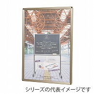 馬印 ポスターパネル　楽ラクパネル　ラクパー B2　ステンカラー QM-B2C 1枚（ご注文単位1枚）【直送品】