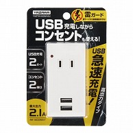 ヤザワコーポレーション 雷ガード付フロントタップ型 2AC＋2USB 2.1A ホワイト Y02FSK400WH2U 1個（ご注文単位1個）【直送品】